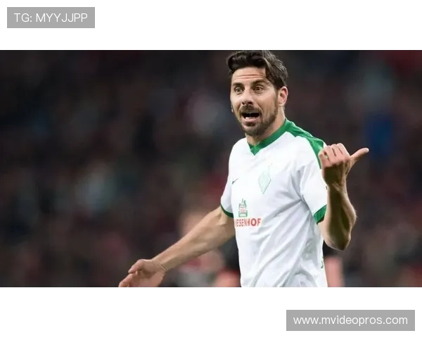 海登海姆战平不莱梅双方激战成2比2平局精彩瞬间回顾 海登海姆战平不莱梅双方激战成2比2平局精彩瞬间回顾